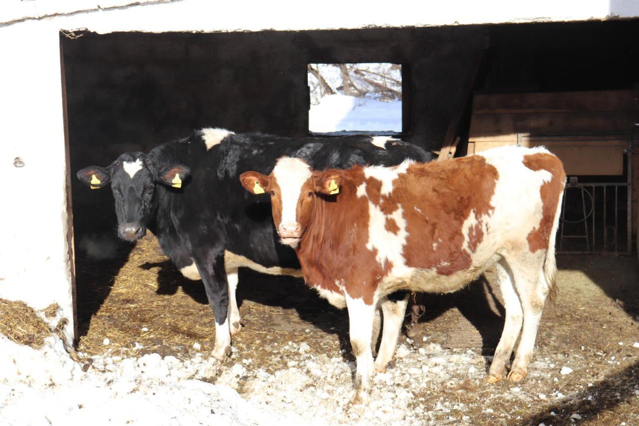 Agroturismo Pechhof *
