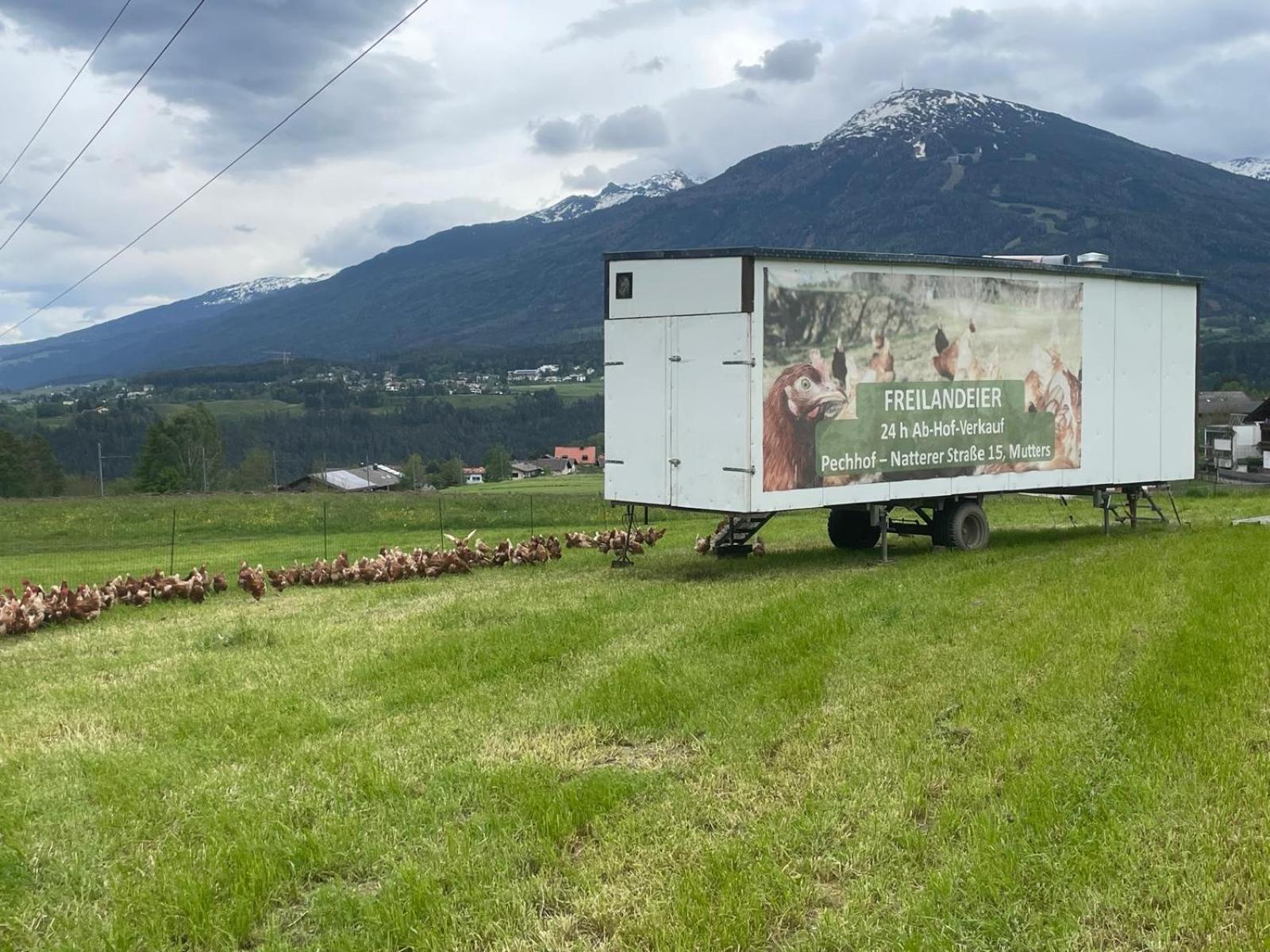 Pechhof Agroturismo