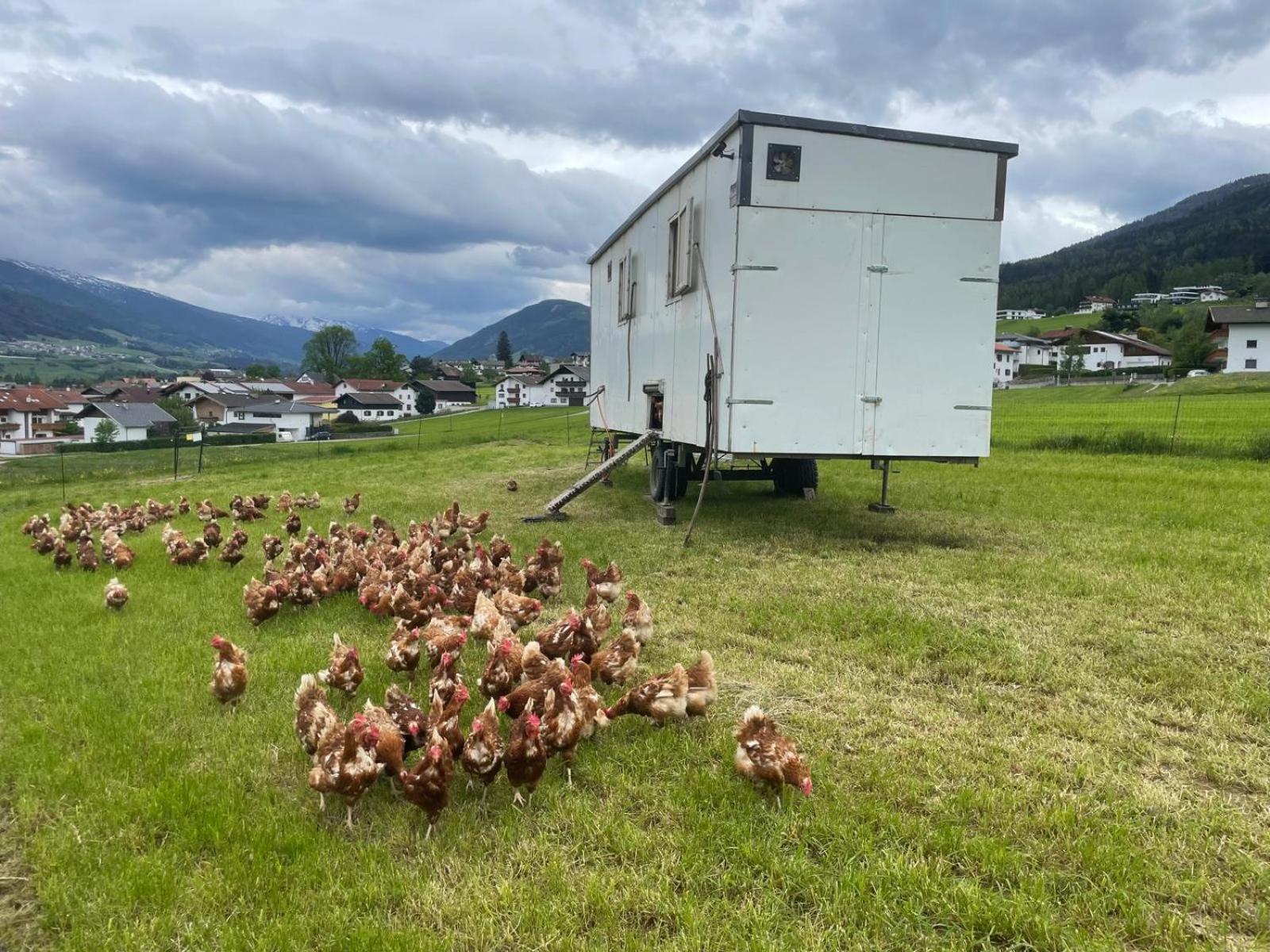 Agroturismo Pechhof